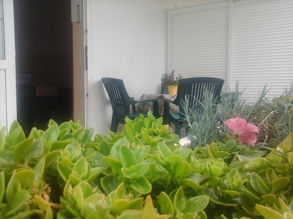 Apartments Tanja & Boris バスカ 部屋 写真
